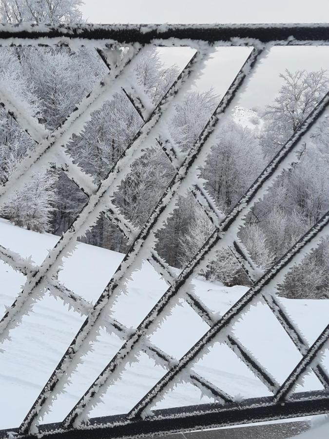President Kop A-1 Hotell Kopaonik Eksteriør bilde